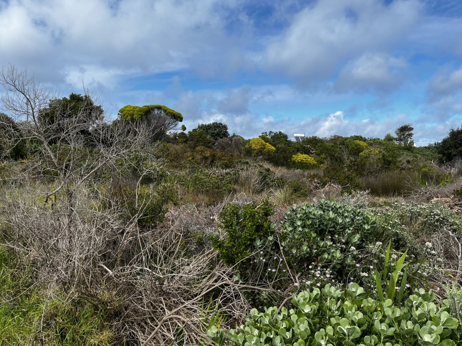 0 Bedroom Property for Sale in Bettys Bay Western Cape